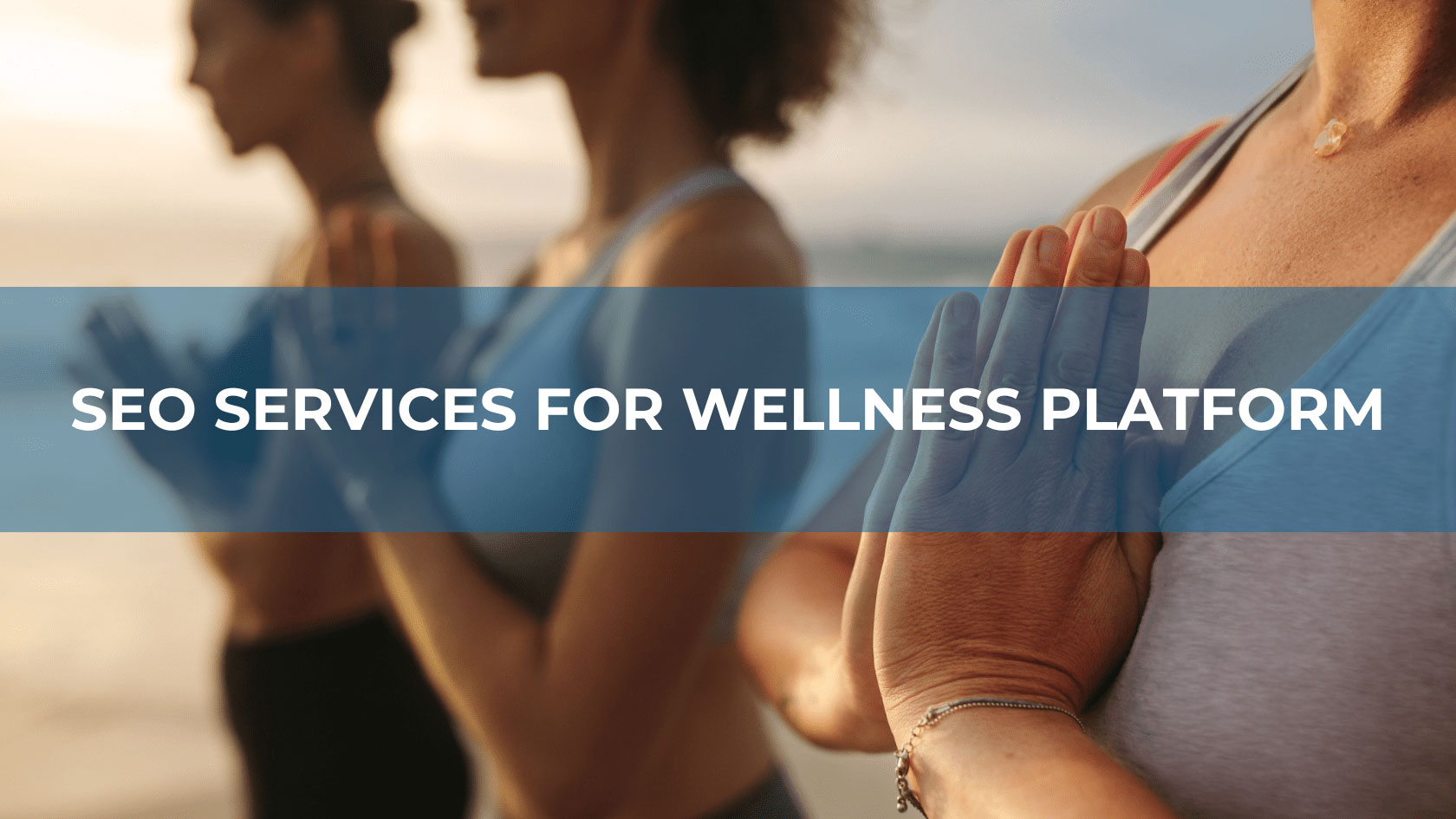 SEO services for wellness platform