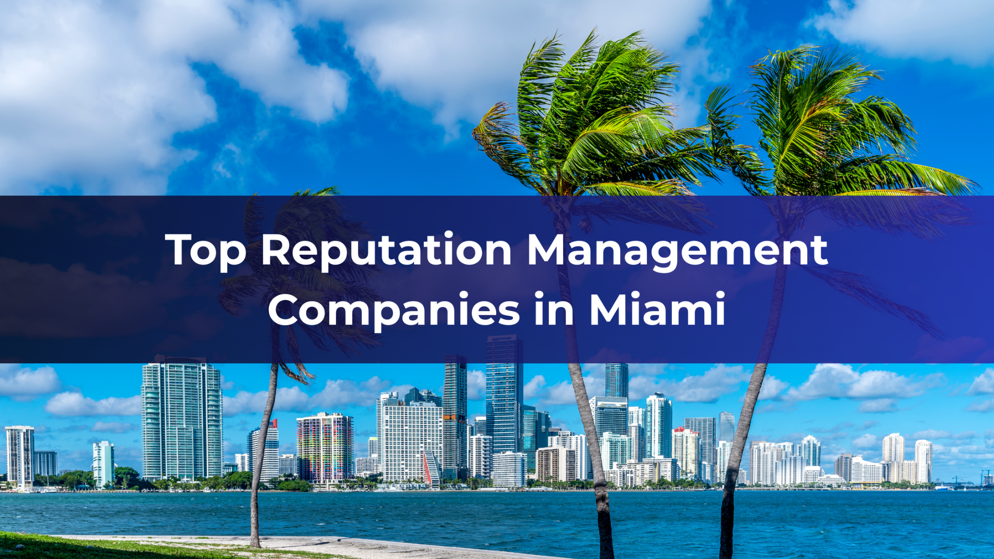 Top Reputation Management Companies in Miami